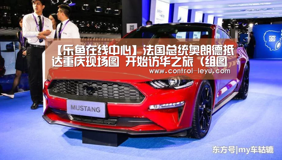 乐鱼app